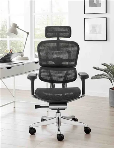 Кресло ERGOHUMAN LUXURY 2 (EHL2-AB-HAM-5D-L, сетка Т-168-B1 Black), эргономичное