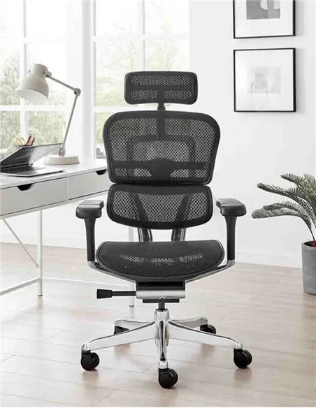 Кресло ERGOHUMAN LUXURY 2 (EHL2-AB-HAM-5D-L, сетка Т-168-B1 Black), эргономичное