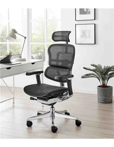 Кресло ERGOHUMAN LUXURY 2 (EHL2-AB-HAM-5D-L, сетка Т-168-B1 Black), эргономичное