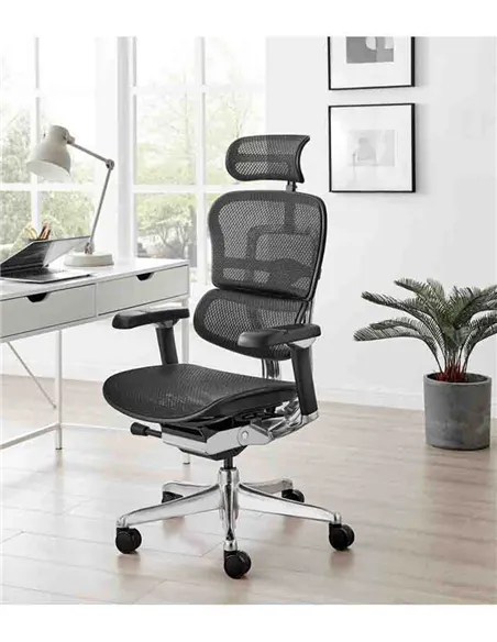 Кресло ERGOHUMAN LUXURY 2 (EHL2-AB-HAM-5D-L, сетка Т-168-B1 Black), эргономичное