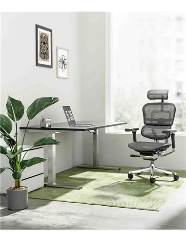 Кресло ERGOHUMAN LUXURY 2 (EHL2-AB-HAM-5D-L, сетка Т-168-B1 Black), эргономичное