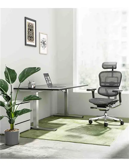 Кресло ERGOHUMAN LUXURY 2 (EHL2-AB-HAM-5D-L, сетка Т-168-B1 Black), эргономичное