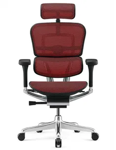 Крісло ERGOHUMAN LUXURY 2 (EHL2-AB-HAM-5D-L, сітка Т-168-B3 Scarlet), ергономічне