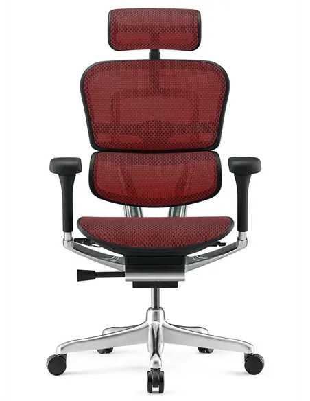 Крісло ERGOHUMAN LUXURY 2 (EHL2-AB-HAM-5D-L, сітка Т-168-B3 Scarlet), ергономічне
