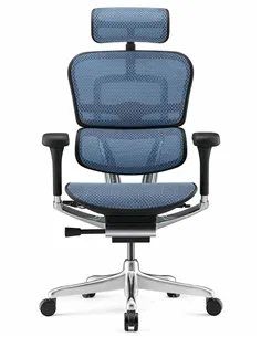 Крісло ERGOHUMAN LUXURY 2 (EHL2-AB-HAM-5D-L, сітка Т-168-B4 Cobalt), ергономічне