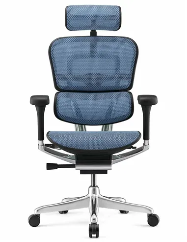 Крісло ERGOHUMAN LUXURY 2 (EHL2-AB-HAM-5D-L, сітка Т-168-B4 Cobalt), ергономічне