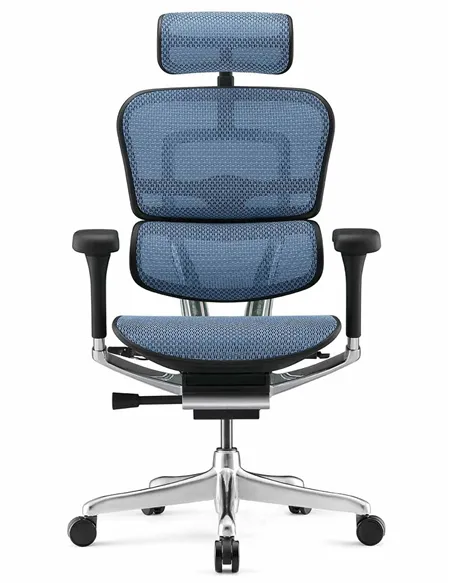 Крісло ERGOHUMAN LUXURY 2 (EHL2-AB-HAM-5D-L, сітка Т-168-B4 Cobalt), ергономічне