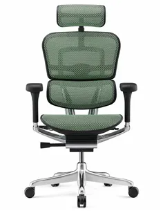 Крісло ERGOHUMAN LUXURY 2 (EHL2-AB-HAM-5D-L, сітка Т-168-B6 Green), ергономічне