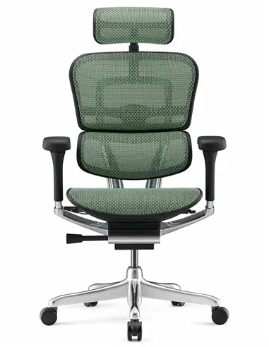 Крісло ERGOHUMAN LUXURY 2 (EHL2-AB-HAM-5D-L, сітка Т-168-B6 Green), ергономічне