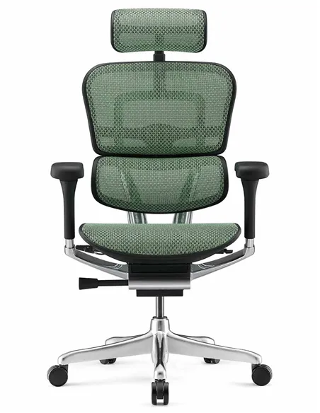 Крісло ERGOHUMAN LUXURY 2 (EHL2-AB-HAM-5D-L, сітка Т-168-B6 Green), ергономічне