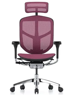 Крісло ENJOY ELITE 2 (EJE2-AB-HAM-5D-L, сітка T-168-B5 Pink), ергономічне