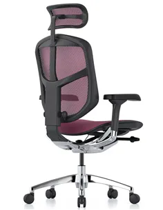 Крісло ENJOY ELITE 2 (EJE2-AB-HAM-5D-L, сітка T-168-B5 Pink), ергономічне 2