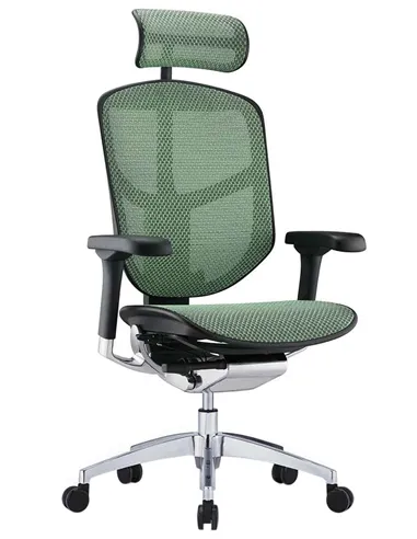 Крісло ENJOY ELITE 2 (EJE2-AB-HAM-5D-L, сітка T-168-B6 Green), ергономічне