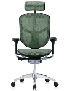 Крісло ENJOY ELITE 2 (EJE2-AB-HAM-5D-L, сітка T-168-B6 Green), ергономічне 2