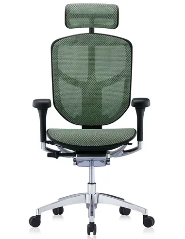 Крісло ENJOY ELITE 2 (EJE2-AB-HAM-5D-L, сітка T-168-B6 Green), ергономічне