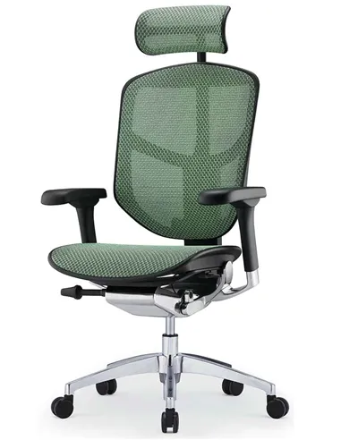 Крісло ENJOY ELITE 2 (EJE2-AB-HAM-5D-L, сітка T-168-B6 Green), ергономічне