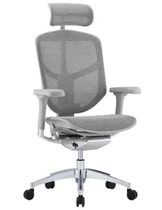 Кресло ENJOY ELITE 2 (EJE2-AG-HAM-5D-L, сетка T-168-B2 Natural), эргономичное