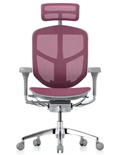 Крісло ENJOY ELITE 2 (EJE2-AG-HAM-5D-L, сітка T-168-B5 Pink), ергономічне