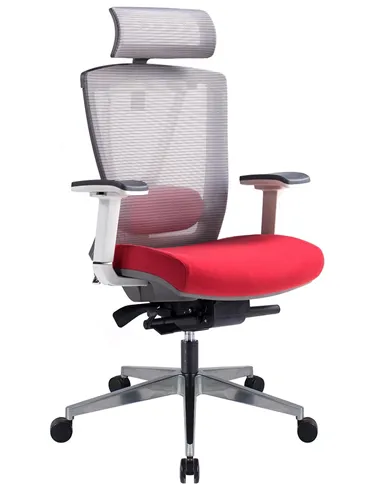 Крісло ERGO CHAIR 2 RED ергономічне