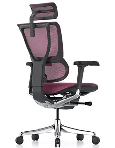 Крісло MIRUS-IOO 2 (IOOE2-AB-HAM-5D-L, сітка T-168-B5 PINK), ергономічне 2