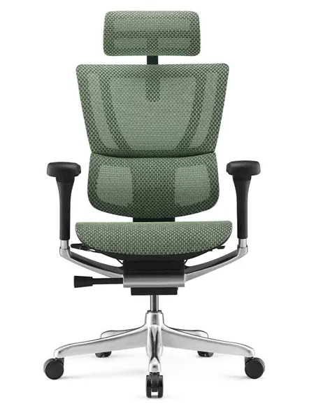 Крісло MIRUS-IOO 2 (IOOE2-AB-HAM-5D-L, сітка Т-168-B6 GREEN), ергономічне