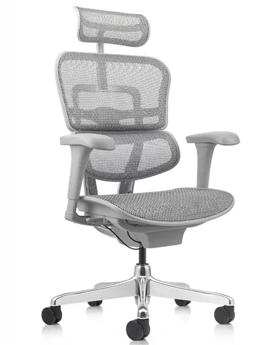 Кресло ERGOHUMAN PROJECT 2 GREY, эргономичное