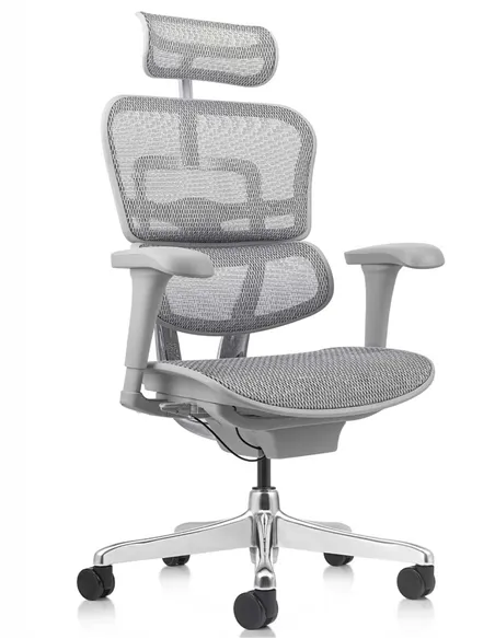 Кресло ERGOHUMAN PROJECT 2 GREY, эргономичное
