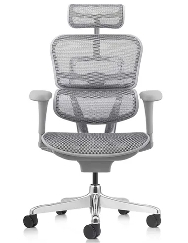Кресло ERGOHUMAN PROJECT 2 GREY, эргономичное