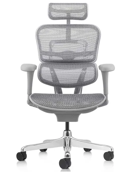 Кресло ERGOHUMAN PROJECT 2 GREY, эргономичное