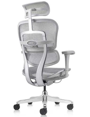 Кресло ERGOHUMAN PROJECT 2 GREY, эргономичное