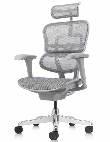 Кресло ERGOHUMAN PROJECT 2 GREY, эргономичное