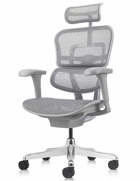 Кресло ERGOHUMAN PROJECT 2 GREY, эргономичное