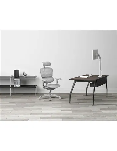 Кресло ERGOHUMAN PROJECT 2 GREY, эргономичное