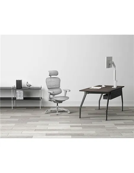 Кресло ERGOHUMAN PROJECT 2 GREY, эргономичное