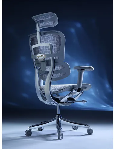 Крісло ERGOHUMAN SE (EHSE-AG-HAM-5D-E-D+LM-CH), ергономічне, сіре