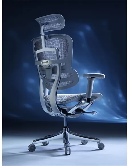 Крісло ERGOHUMAN SE (EHSE-AG-HAM-5D-E-D+LM-CH), ергономічне, сіре