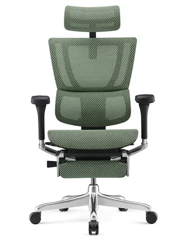 Крісло MIRUS-IOO 2 (IOOE2-AB-HAM-5D-L-LMT, СІТКА Т-168-B6-GREEN), ергономічне, з підставкою під ноги