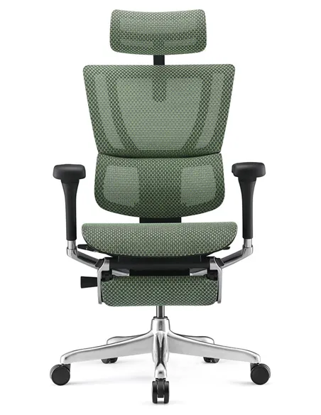 Крісло MIRUS-IOO 2 (IOOE2-AB-HAM-5D-L-LMT, СІТКА Т-168-B6-GREEN), ергономічне, з підставкою під ноги