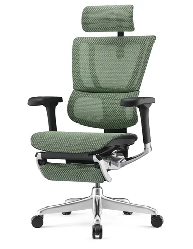 Крісло MIRUS-IOO 2 (IOOE2-AB-HAM-5D-L-LMT, СІТКА Т-168-B6-GREEN), ергономічне, з підставкою під ноги
