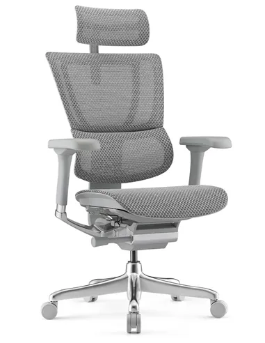 Крісло MIRUS-IOO 2 (IOOE2-AG-HAM-5D-L, СІТКА Т-168-B2 NATURAL), ергономічне