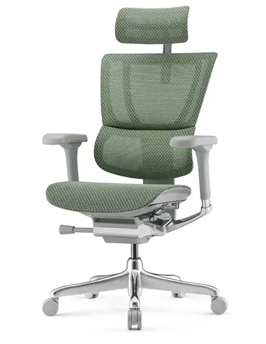 Крісло MIRUS-IOO 2 (IOOE2-AG-HAM-5D-L, СІТКА Т-168-B6 GREEN), ергономічне