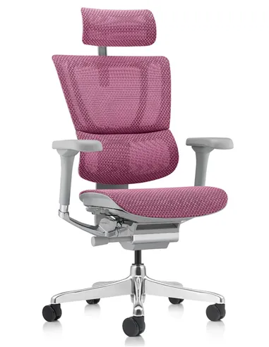 Крісло MIRUS-IOO 2 (IOOE2-AG-HAM-5D-L, СІТКА Т-168-B5 PINK), ергономічне