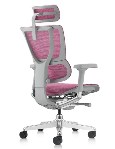 Крісло MIRUS-IOO 2 (IOOE2-AG-HAM-5D-L, СІТКА Т-168-B5 PINK), ергономічне