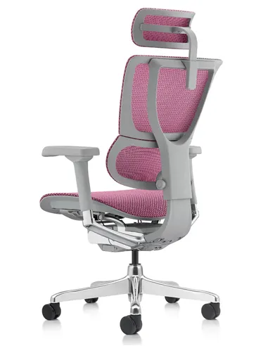 Крісло MIRUS-IOO 2 (IOOE2-AG-HAM-5D-L, СІТКА Т-168-B5 PINK), ергономічне