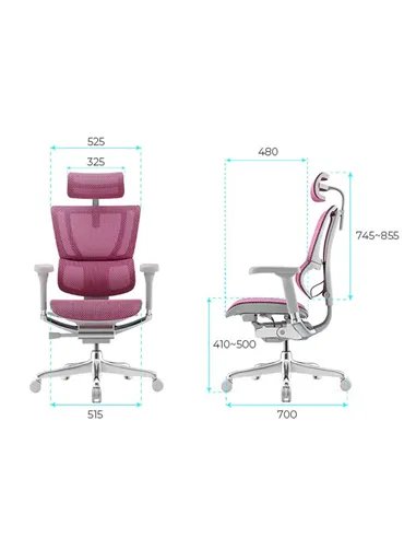 Крісло MIRUS-IOO 2 (IOOE2-AG-HAM-5D-L, СІТКА Т-168-B5 PINK), ергономічне