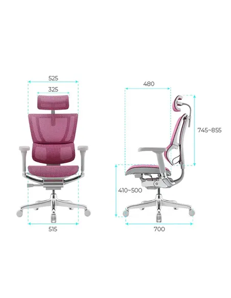 Крісло MIRUS-IOO 2 (IOOE2-AG-HAM-5D-L, СІТКА Т-168-B5 PINK), ергономічне