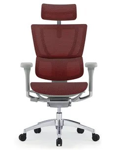 Крісло MIRUS-IOO 2 (IOOE2-AG-HAM-5D-L, СІТКА T-168-B3 SCARLET), ергономічне