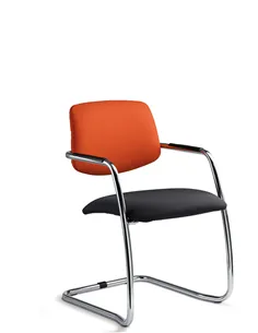 Крісло LD SEATING THEO@ 262-Z-N4 для відвідувачів, на полозах