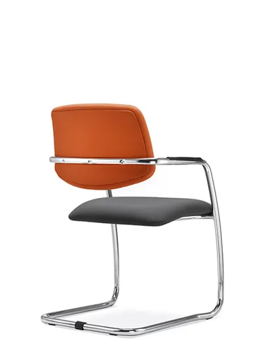 Крісло LD SEATING THEO@ 262-Z-N4 для відвідувачів, на полозах
