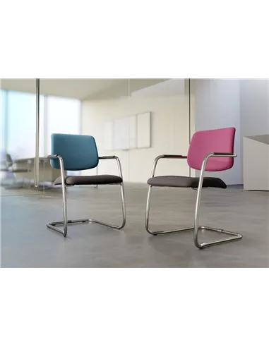 Крісло LD SEATING THEO@ 262-Z-N4 для відвідувачів, на полозах